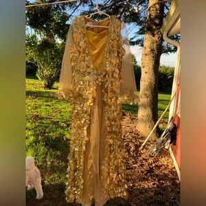 Halloween Costume Chasing Fireflies Phoenix Dress